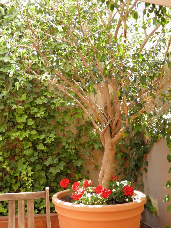 Suitur Courtyard Apartment Barcelona Ngoại thất bức ảnh